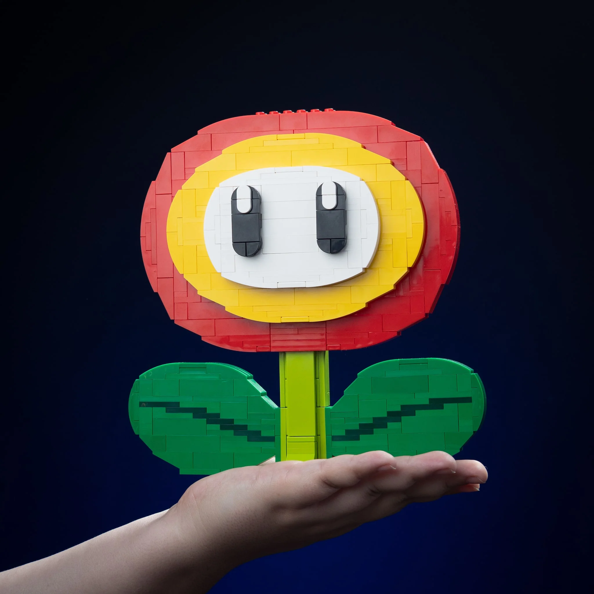 Thumbnail 7